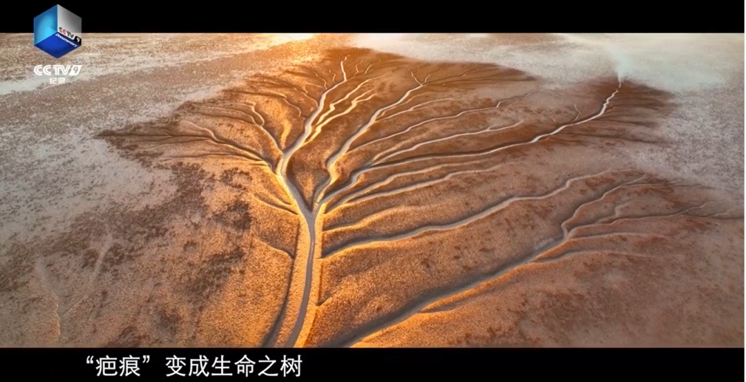 640?wx_fmt=png 图片