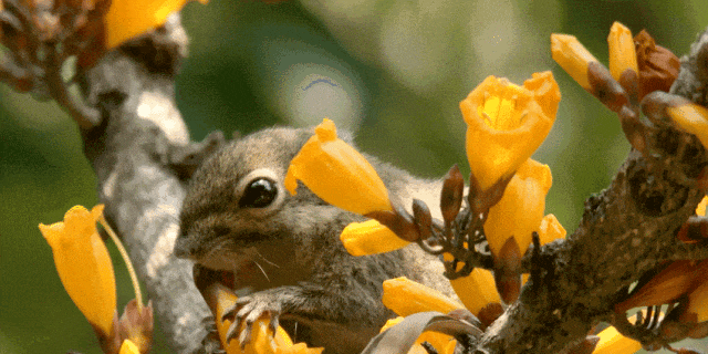 640?wx_fmt=gif&from=appmsg 图片