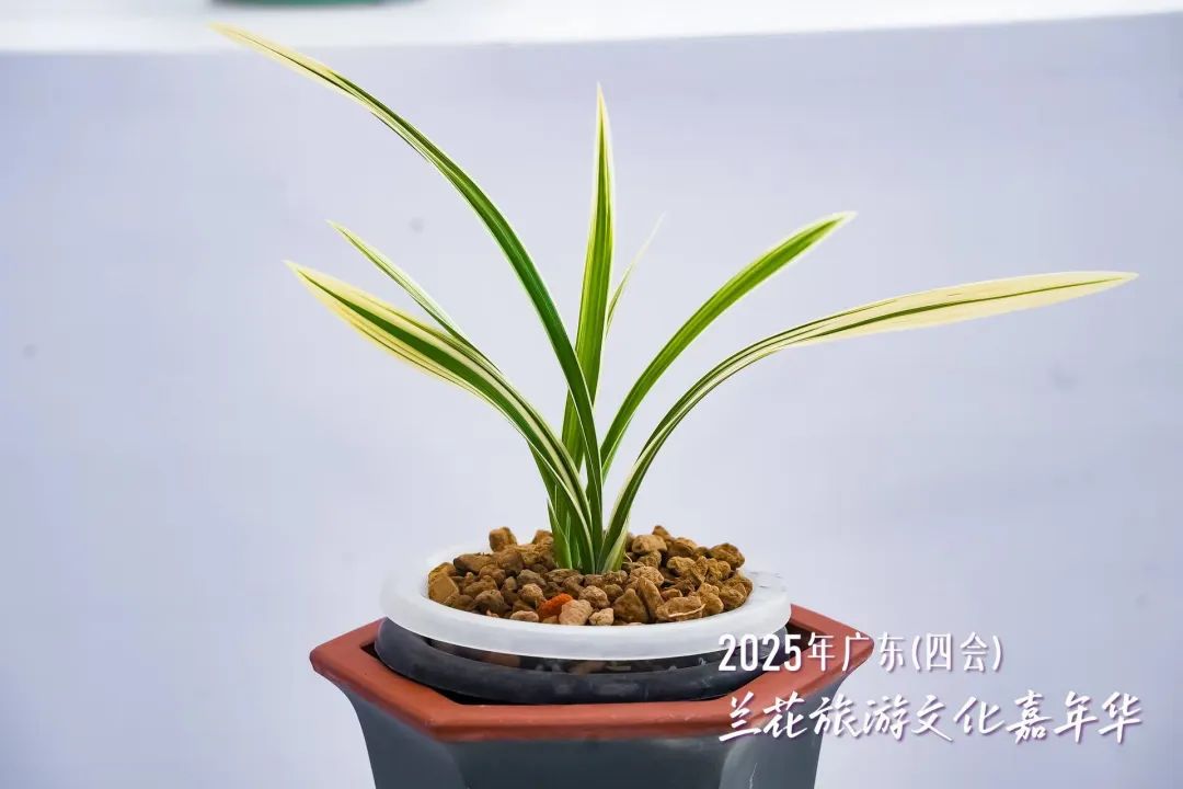640?wx_fmt=jpeg&from=appmsg 图片