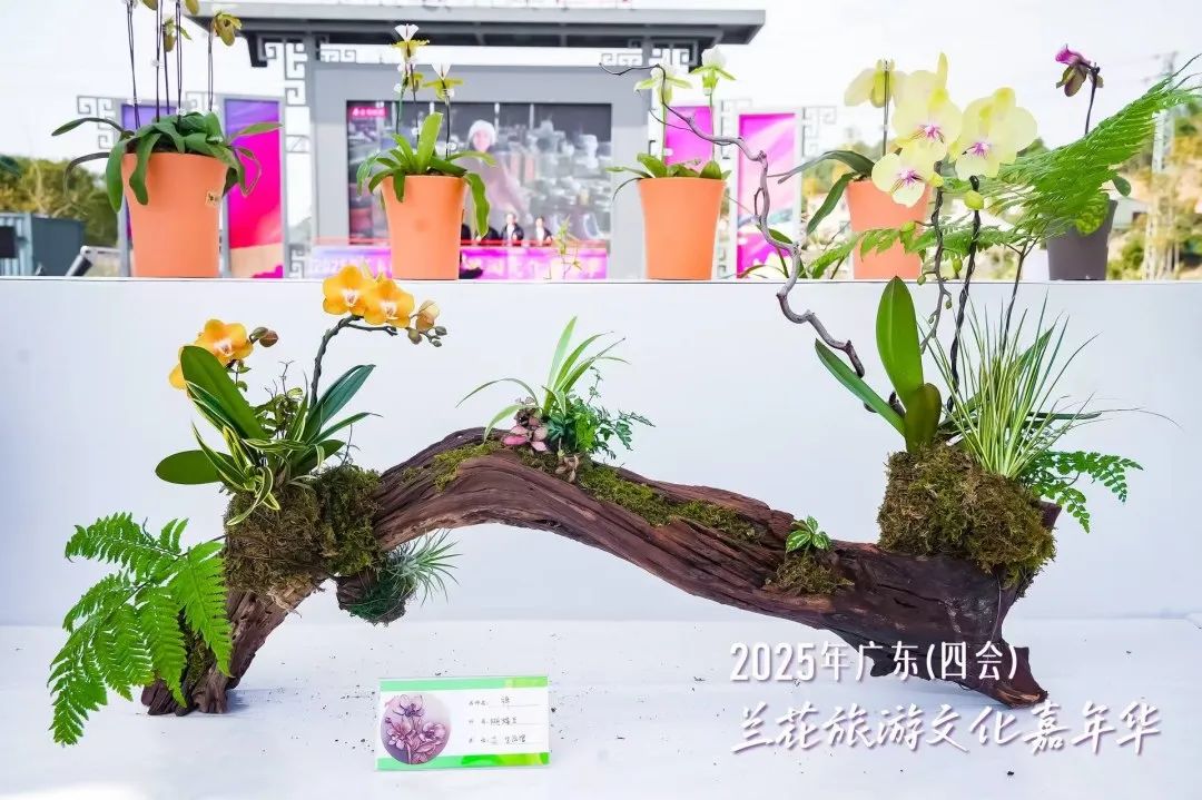 640?wx_fmt=jpeg&from=appmsg 图片