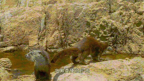 640?wx_fmt=gif 图片